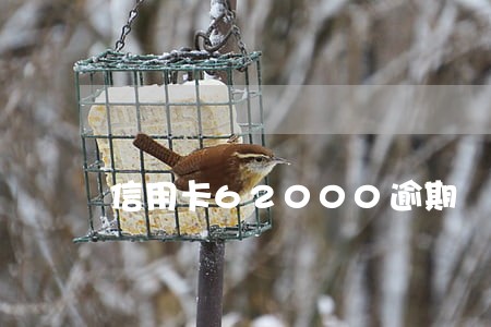 信用卡62000逾期