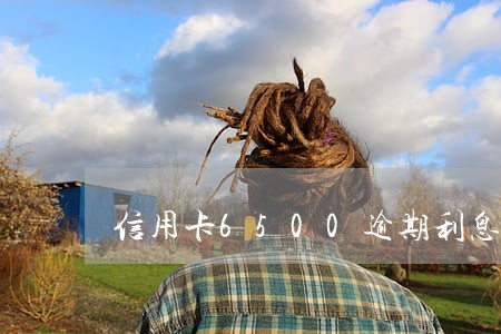 信用卡6500逾期利息是多少 信用卡6500逾期利息是多少