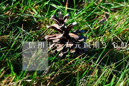 信用卡6万元逾期3个月 信用卡6万元逾期3个月