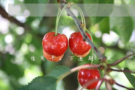 信用卡6万逾期一天