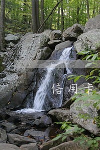 信用卡6万逾期一天多少利息 信用卡6万逾期一天多少利息