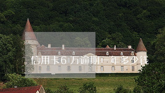 信用卡6万逾期一年多少钱 信用卡6万逾期一年多少钱