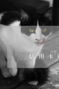 信用卡6万逾期两年还多少 信用卡6万逾期两年还多少