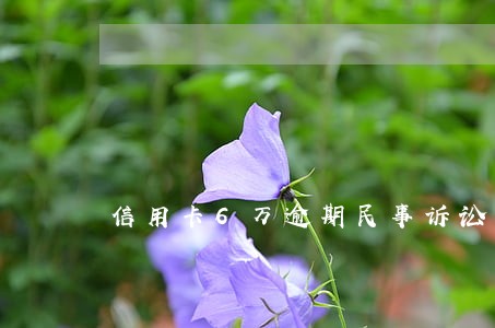 信用卡6万逾期民事诉讼