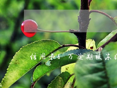 信用卡6万逾期被冻结怎么办