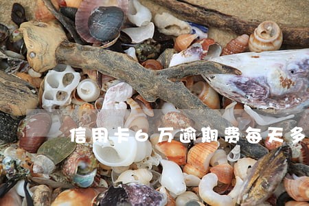 信用卡6万逾期费每天多少钱 信用卡6万逾期费每天多少钱