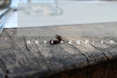 信用卡6个月逾期18万 信用卡6个月逾期18万