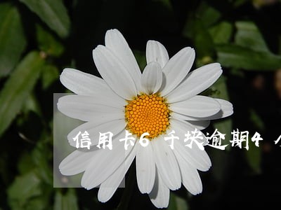 信用卡6千块逾期4个月 信用卡6千块逾期4个月