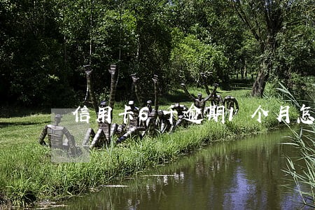 信用卡6千逾期1个月怎么办 信用卡6千逾期1个月怎么办
