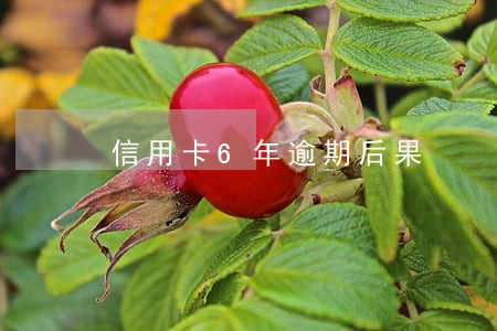 信用卡6年逾期后果 信用卡6年逾期后果