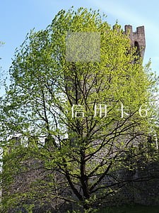 信用卡6张逾期15万会坐牢吗 信用卡6张逾期15万会坐牢吗
