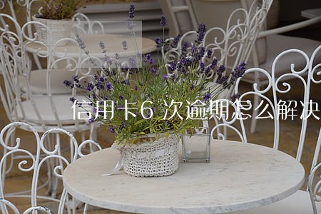 信用卡6次逾期怎么解决