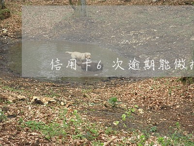 信用卡6次逾期能做按揭吗