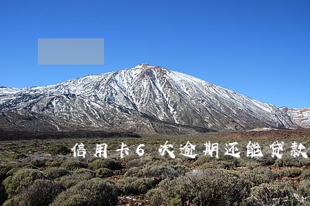 信用卡6次逾期还能贷款吗 信用卡6次逾期还能贷款吗