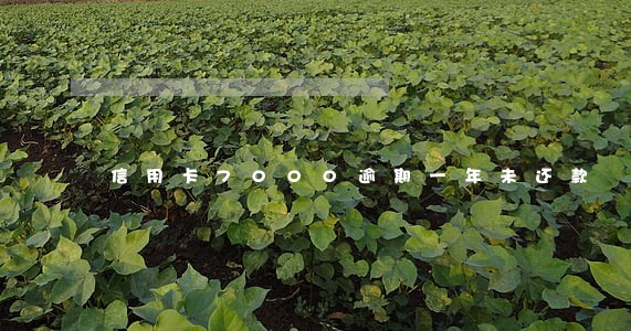 信用卡7000逾期一年未还款 信用卡7000逾期一年未还款