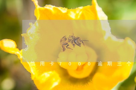 信用卡7000逾期三个月补救 信用卡7000逾期三个月补救