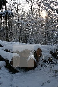 信用卡7000逾期了利息是多少 信用卡7000逾期了利息是多少