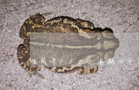 信用卡7000逾期四个月 信用卡7000逾期四个月