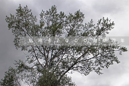 信用卡7000逾期四年