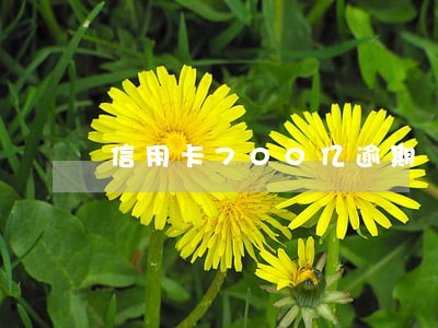 信用卡700亿逾期