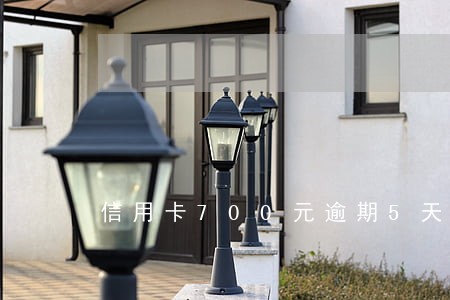 信用卡700元逾期5天 信用卡700元逾期5天