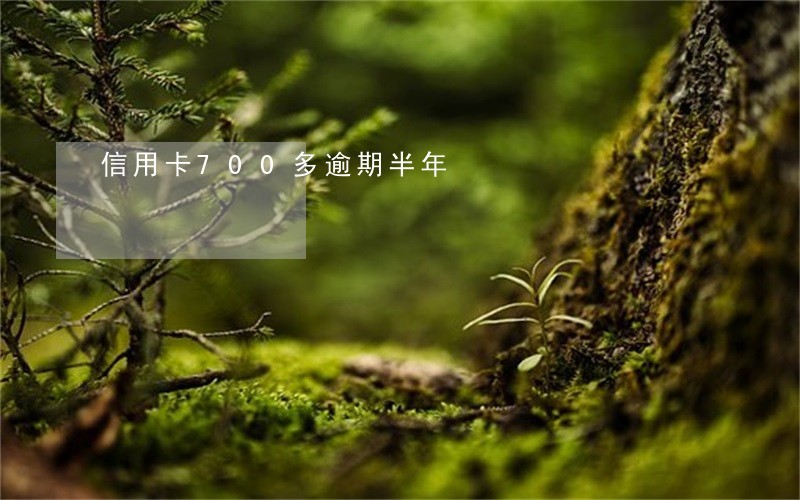 信用卡700多逾期半年