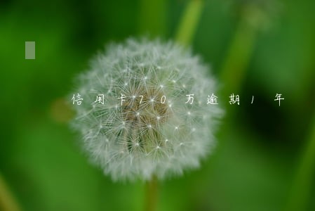 信用卡70万逾期1年