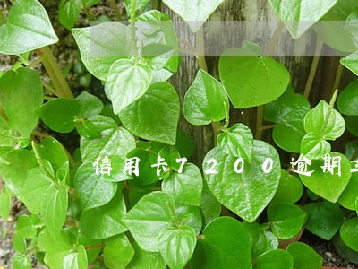 信用卡7200逾期三个月 信用卡7200逾期三个月
