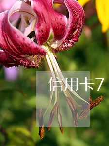 信用卡7万逾期三个月会坐牢吗 信用卡7万逾期三个月会坐牢吗