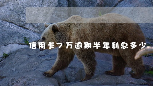 信用卡7万逾期半年利息多少