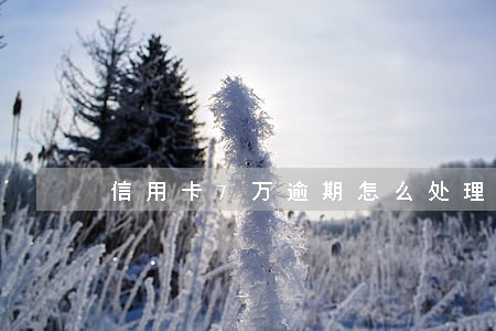 信用卡7万逾期怎么处理 信用卡7万逾期怎么处理