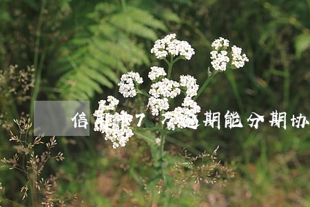 信用卡7万逾期能分期协商吗 信用卡7万逾期能分期协商吗