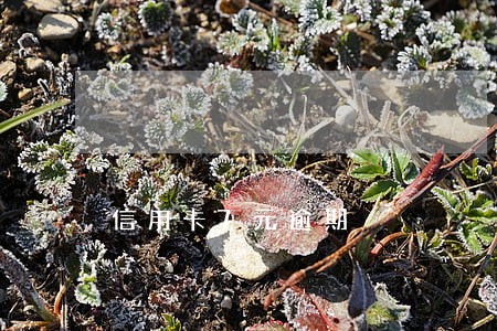 信用卡7元逾期 信用卡7元逾期
