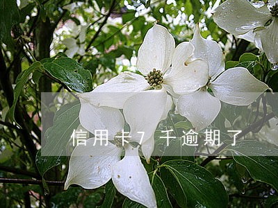 信用卡7千逾期了 信用卡7千逾期了