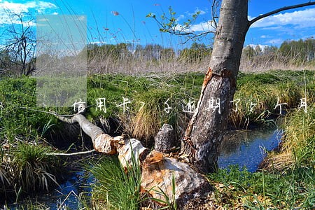 信用卡7千逾期了5个月 信用卡7千逾期了5个月