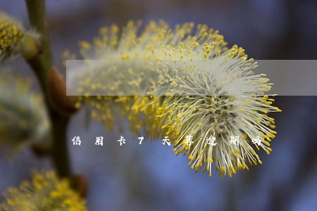 信用卡7天算逾期吗 信用卡7天算逾期吗