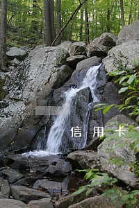 信用卡7天逾期怎么办 信用卡7天逾期怎么办