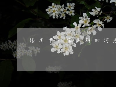 信用卡7张逾期如何避免