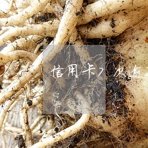 信用卡7次逾期可以贷款吗 信用卡7次逾期可以贷款吗