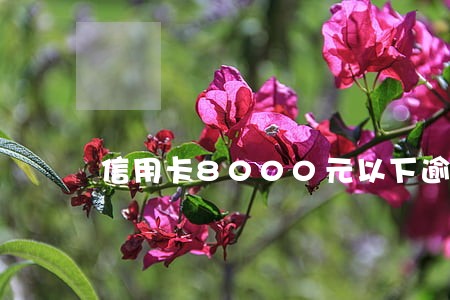 信用卡8000元以下逾期 信用卡8000元以下逾期