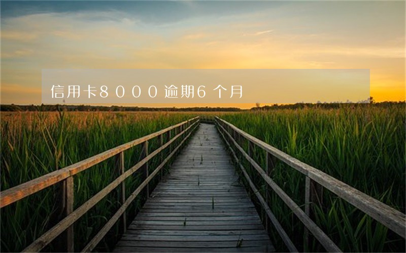 信用卡8000逾期6个月 信用卡8000逾期6个月