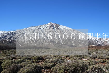 信用卡8000逾期半年利息