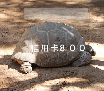 信用卡800元逾期两年 信用卡800元逾期两年