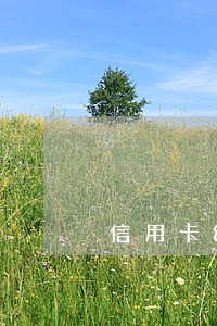 信用卡800块逾期