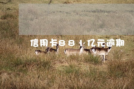 信用卡881亿元逾期