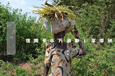 信用卡8万逾期1年滞纳金取消 信用卡8万逾期1年滞纳金取消