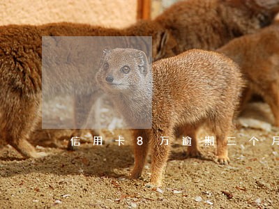 信用卡8万逾期三个月