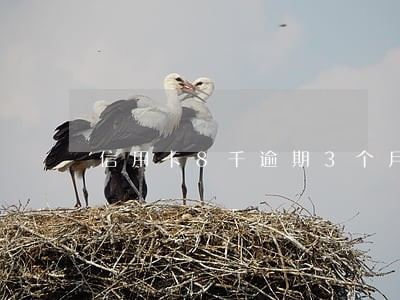 信用卡8千逾期3个月