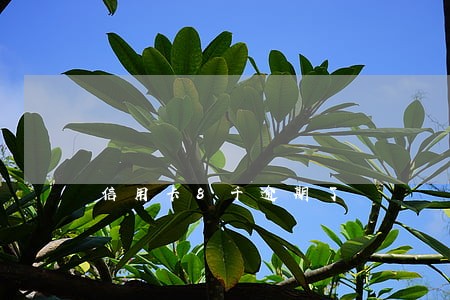 信用卡8千逾期了 信用卡8千逾期了