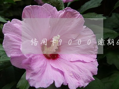 信用卡9000逾期6个月 信用卡9000逾期6个月